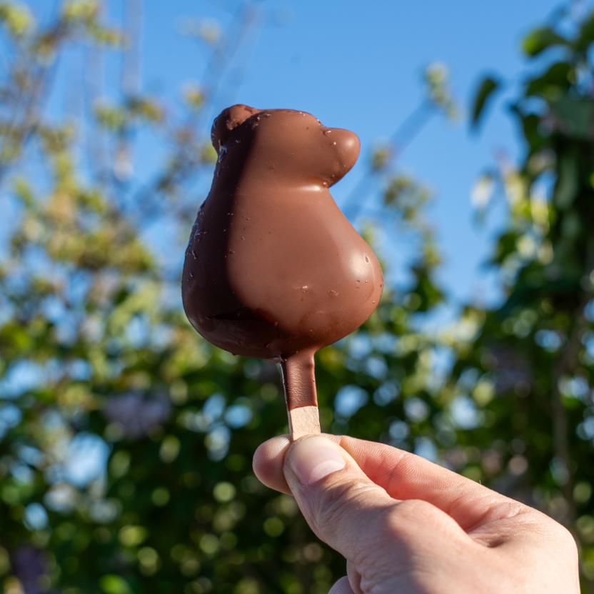 Exquim'Ours Roméo Créateur Givré